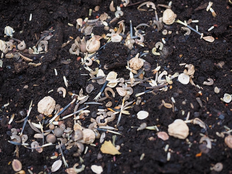 Soil Mixes