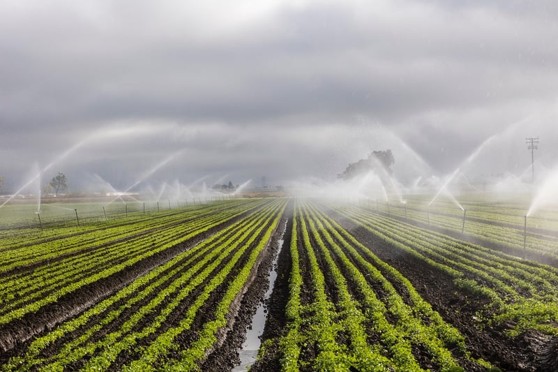 Soaker Hoses