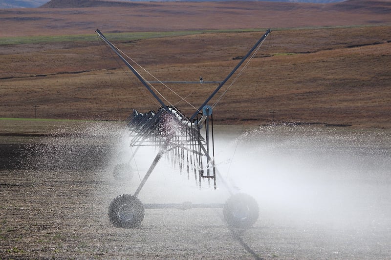 Sprinkler System